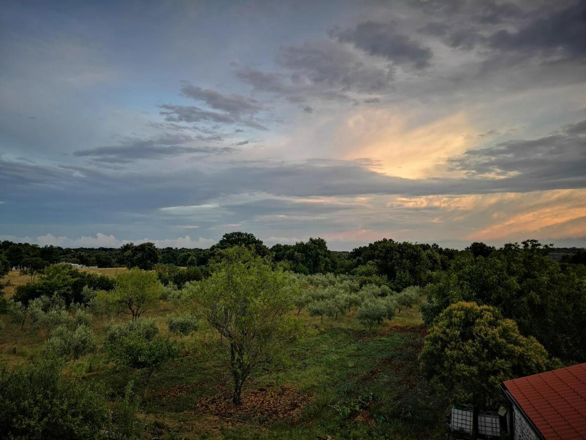 Apartment Sunrise, Coastal Istra, Pula Duga Uvala Pavicini Eksteriør bilde