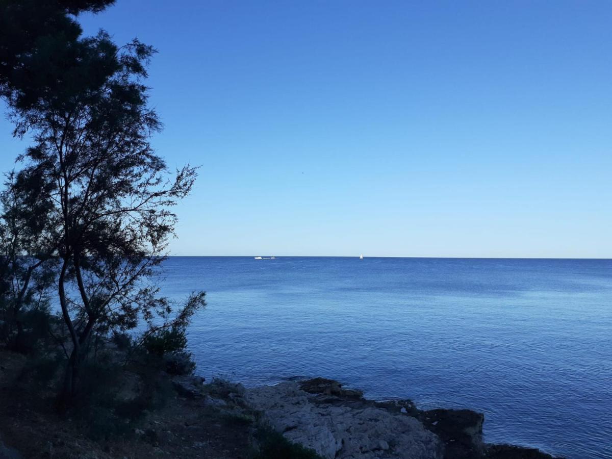 Apartment Sunrise, Coastal Istra, Pula Duga Uvala Pavicini Eksteriør bilde